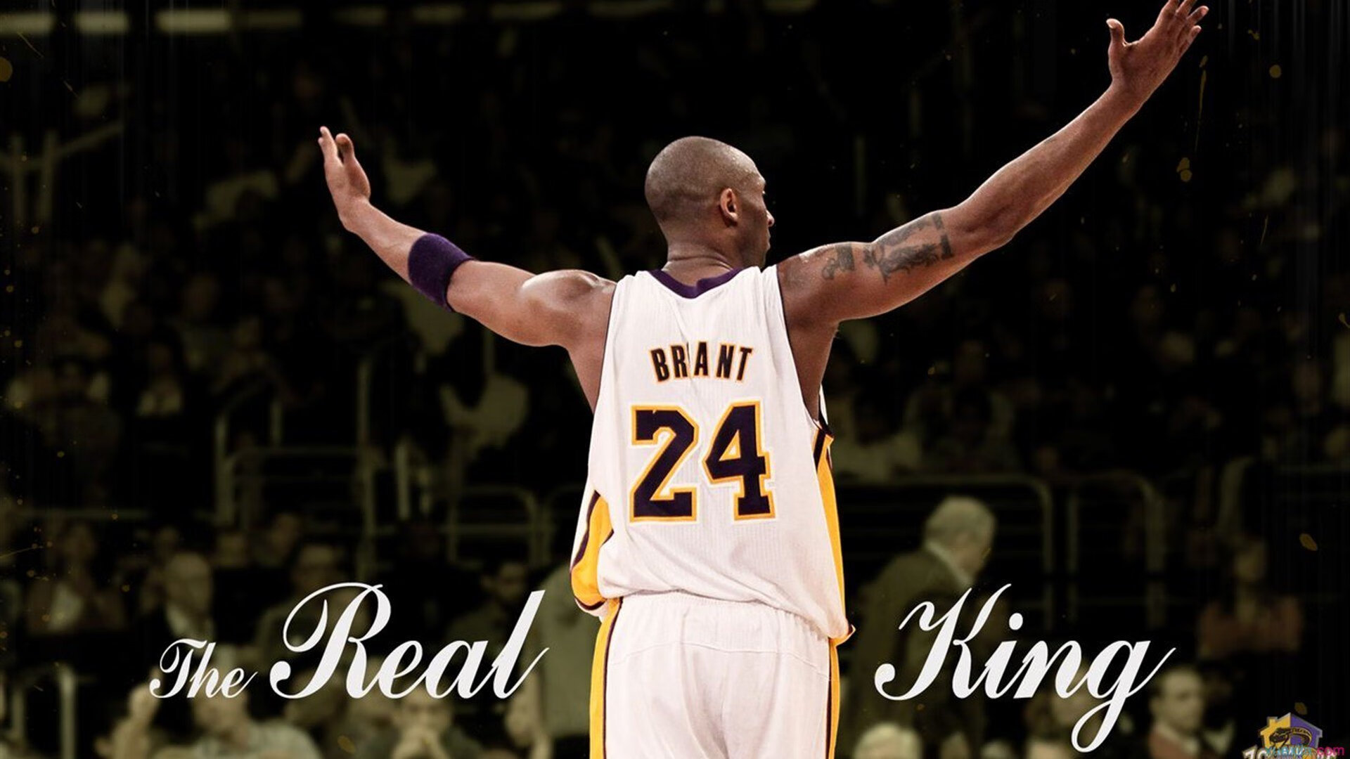 赛季关键比赛战报全解析，比赛的赛季